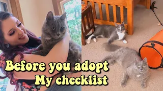 10 THINGS TO CONSIDER BEFORE ADOPTING A CAT