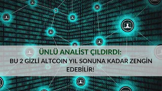 Bu 2 Gizli Altcoin Yıl Sonuna Kadar Zengin Edebilir !