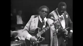 B B King-w.Albert King, Paul Butterfield, Stevie Ray Vaughan The Sky is Crying