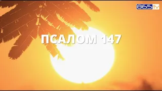 Псалом 147