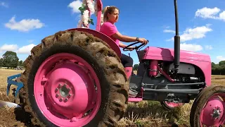 1951 Ferguson TED20 2.1 Litre 4-Cyl Petrol Tractor (26 HP) with Ransomes Plough - in the Pink