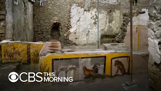 Ancient "fast food" counter unearthed in Pompeii