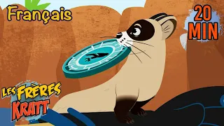 Bandido: le furet à pieds noirs | Saison 3 [épisode complet] Les Frères Kratt