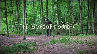 Waapaahsiki Siipiiwi Bigfoot Mounds Indiana