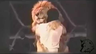 Schockierende Tierangriffe auf kamera aufgenommen. Löwen - Tiger - Angriff Menschen