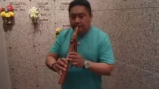 Butterfly (Native style flute)