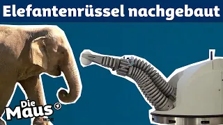 Bionic Rüssel | DieMaus | WDR