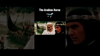 THE 13TH WARRIOR ARABIAN HORSE #Muslim #Islam #IslamicHistory #ShakeOneOfficial