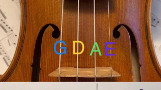 Learn to Read Notes (for Violin) in Less than 5 Minutes!
