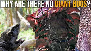 Why Don’t Giant Bugs Exist Today?