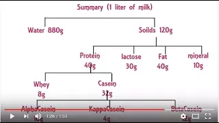 Milk and its constituents