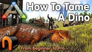 Ark HOW TO TAME A DINOSAUR Everything You Need To Know To Start Taming In 2020 #ARK