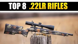 TOP 8 Best .22LR Rifles: The Most Accurate .22 Rifles - Madman Review