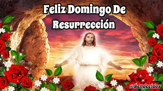 FELIZ DOMINGO DE RESURRECCIÓN🌹🙏FELICES PASCUAS🌻🌹🌻MENSAJE DE BUENOS DIAS🤗