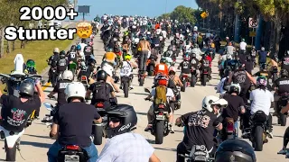 DAS GRÖßTE RIDEOUT FLORIDAS