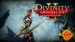 Divinity Original Sin 2 - Definitive Edition Форт Радость, Эльф, мечи + лук Часть 1