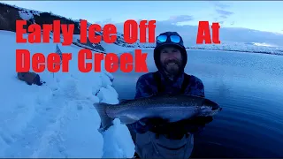 Early ice off fly fishing action at Deer Creek Reservoir.
