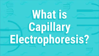 What Is Capillary Electrophoresis?