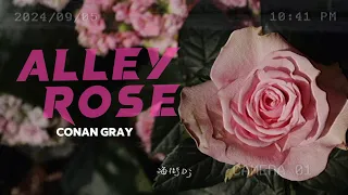 Conan Gray - Alley Rose (lyric video)翻譯/中英歌詞