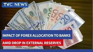 Assessing Impact of Forex Allocation to Banks Amid Drop In External Reserves