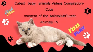 Cutest baby  animals Videos Compilation-Cute moment of the Animals #CutestAnimalsTV