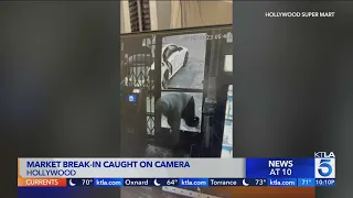 Camera captures burglars break into Hollywood store