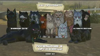 -" •| Как проходит посвящение в оруженосцы? Что оно означает? Warrior Cats:Ultimate Edition//"|•