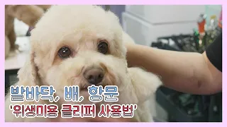 애견 위생미용 완벽한 설명, 너도 미용할 수 있어, pet grooming, self grooming, dog, cat, clipper, selfcare