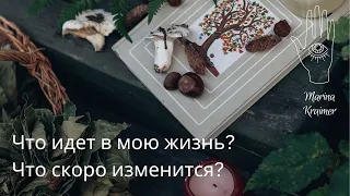 ✨ЧТО ИДЕТ В МОЮ ЖИЗНЬ? ПОСЛАНИЕ ДЛЯ ВАС 🎐💡 Таро-терапия с Мариной Креймер