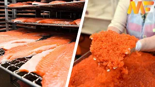 Amazing Salmon Egg Harvesting & Salmon Caviar Making Process|Salmon Processing Factory|Modern Farm76