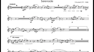 F.Schubert - Serenade - T.Dokshizer trumpet Bb
