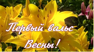 ПЕРВЫЙ ВАЛЬС ВЕСНЫ! С ПРАЗДНИКОМ!🌹🎶🌹Музыка для души и весеннего настроения!🎶❄️🎶Сергей Чекалин!🎶❄️🎶