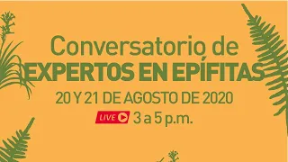 Día 1 - 20 agosto Conversatorio de Expertos en Epífitas