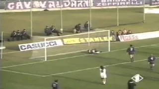 Serie A 1991-1992, day 17 Fiorentina - Parma 1-1 (Apolloni o.g., Grün)