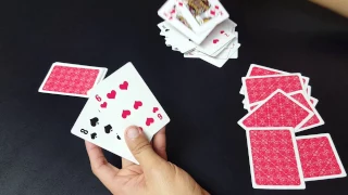 Como Se Juega El Cochino Correctamente En Las Cartas