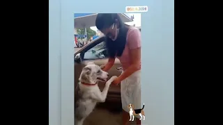 Gulki Joshi playing with cute dog 🐕#shorts