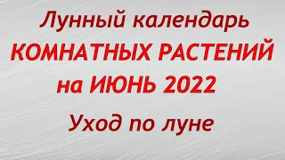 Лунный календарь комнатных растений на ИЮНЬ 2022. Благоприятные и неблагоприятные дни.