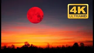 Восход КРОВАВОЙ ЛУНЫ🔥🌕Rising of the bloody moon🔥🌕Удивительное зрелище