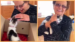 New Cat Surprise Compilation 2024 | Wholesome Surprising Videos.