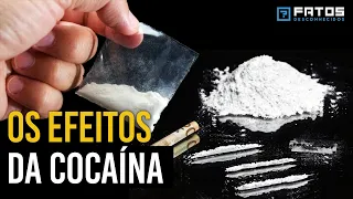 Quais são os efeitos da cocaína no seu corpo?
