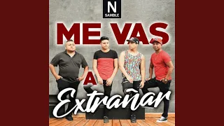 Me Vas a Extrañar