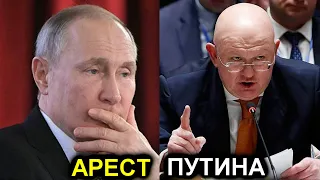 Небензя высказался по поводу ареста Путина