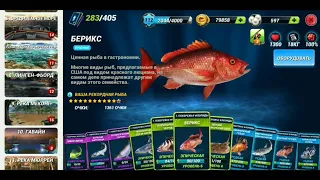 Советы новичкам. До какого уровня нужно прокачивать приманки в игре Fishing Clash.