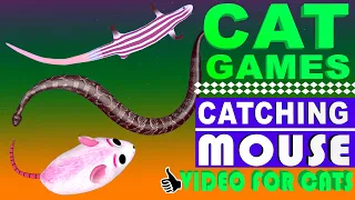 GAME FOR CATS - BEST 2023 Cat Games - Mice, Skink, Lizards & Snake Video for Cats!