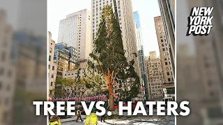 Rockefeller Center Christmas Tree slams haters on Twitter | New York Post