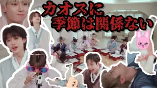 【Let's 秋夕】俺らと一緒に伝統娯楽☆【straykids/スキズ/日本語】