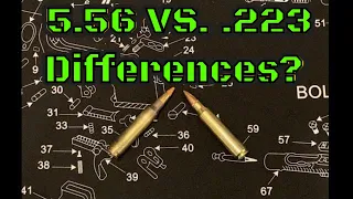 What's The Difference Between 5.56 And .223?!