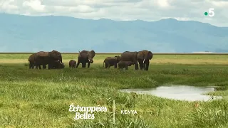 Kenya, un rêve de safari - Échappées belles