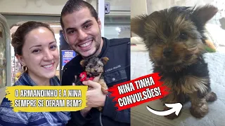 Como foi a chegada da Nina?