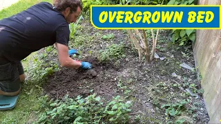 Transforming This Overgrown Garden Bed Ready For Planting | Customer Came Back To Me